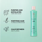 Royal Treatment Scalp Care Biotin Shampoo, , large image number null